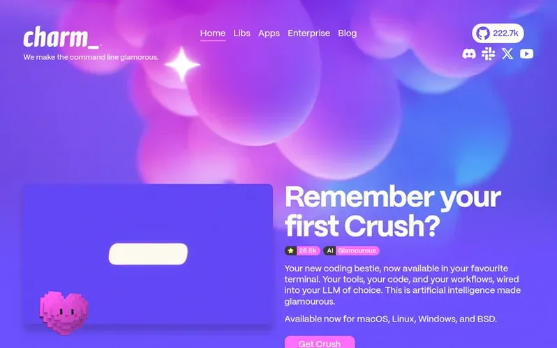 Screenshot of the Charm homepage